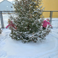 Зимняя прогулка. Зимняя прогулка.